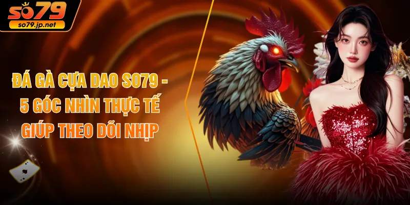 Đá Gà Cựa Dao SO79 - 5 Góc Nhìn Thực Tế Giúp Theo Dõi Nhịp