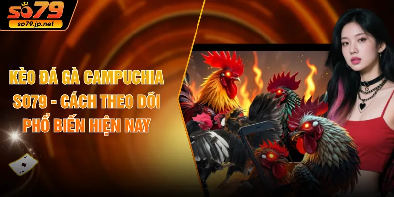 Kèo Đá Gà Campuchia SO79 - Cách Theo Dõi Phổ Biến Hiện Nay