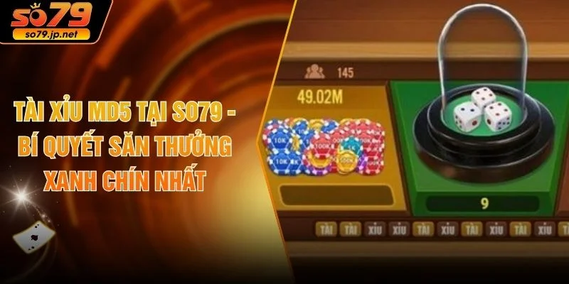 Tài Xỉu MD5 Tại SO79 - Bí Quyết Săn Thưởng Xanh Chín Nhất