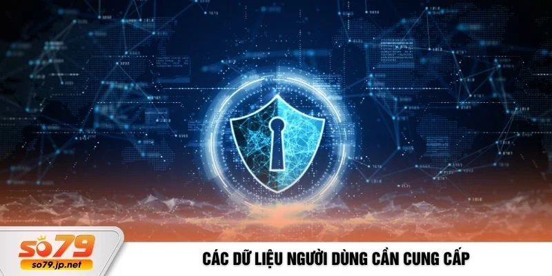 Các dữ liệu người dùng cần cung cấp