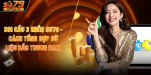 Soi Cầu 3 Miền SO79 - Cách Tổng Hợp Dữ Liệu Bắc Trung Nam